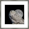 Snowy Owl On The Moon Framed Print