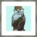 Snowy Owl Portrait Framed Print