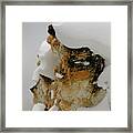 Snowy Rock Face Framed Print