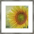 Soaking In The Sun Framed Print