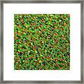 Soft Green With Cadmium Red Framed Print