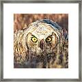 Incognito Framed Print