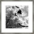 Solarized Winter Sky And Clouds Framed Print