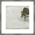 Solitary Tree In Winter Framed Print