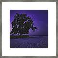 Solitude At Siesta Beach Framed Print