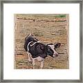 Something In The Way She Moos Framed Print