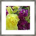 Soothing Framed Print