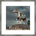 Sorrel Pinto War Horse Framed Print