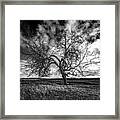 South Monochrome Framed Print