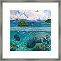 South Pacific Paradise With Manateestees Framed Print