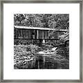 Southern Gem Iii In Black And White Framed Print