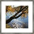 Sparkling River Framed Print