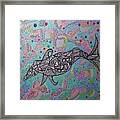 Spotted Dolphin Framed Print