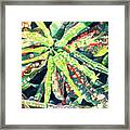 Spotted Leaves Framed Print