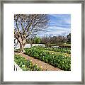Spring Afternoon In Colonial Williamsburg Framed Print