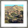 Spring In Texas Canyon Framed Print