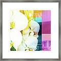 Spring In The City- Art By Linda Woods Framed Print