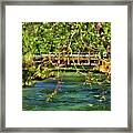 Spring In The North Carolina Mountains Framed Print