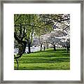 Spring In The Us Capital Framed Print