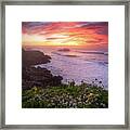 Spring Framed Print