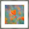 Spring Poppy Framed Print