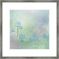 Spring Scilla - White Squill Framed Print