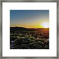 Spring Sunset 4 Framed Print