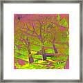 Spring Trees Framed Print