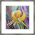 Spring Trout Lily Framed Print