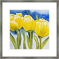 Spring Tulips Framed Print