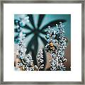 Spring Yellow Bumble Bee On Blue Framed Print