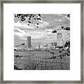 Springtime In Boston Ma On The Charles River Prudential Hancock Black And White Framed Print