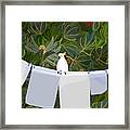 Square White Washing Cockatoo Framed Print