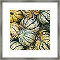 Squash Sweet Dumpling In Autumn Framed Print