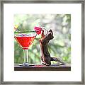 Squirrel At Cocktail Hour Framed Print