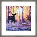 Stag In The Forest Framed Print