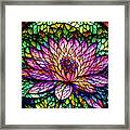 Stained Glass Lotus Framed Print