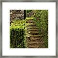 Stairway To The Abandoned Framed Print