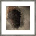 Stampeding Bison Framed Print