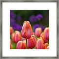 Stand Tall Framed Print