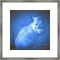 Staredown - An Abstract Photopainting Framed Print