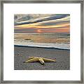 Starfish Homecoming Sunrise Framed Print