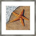 Starfish On The Beach Framed Print