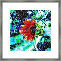 Starry Skies Sunflower Framed Print