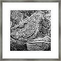 Stone Snakehead Carving - Chichen Itza Framed Print