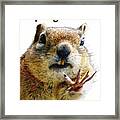 Stop Right There - Chipmunk Body Language With Typography Framed Print