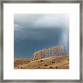 Storm Over An Alberta Fall Pasture Framed Print