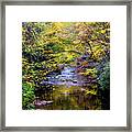 Stream In The Smoky Mountains Autumn Colors Framed Print