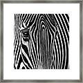 Stripes Head On Framed Print