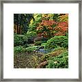 Strolling Pond And Bridge In Autumn At Portland Japanese Garden Framed Print